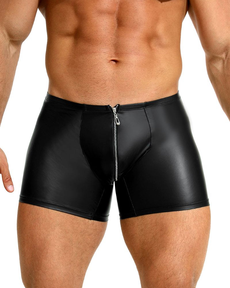 Boxer Sam – vue de face