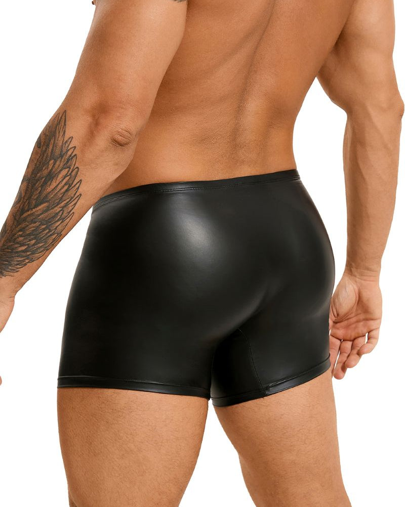 Boxer Sam – vue de dos