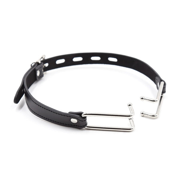 Le Marquis by Lady Mary Ball Gag Spreader Hook BDSM